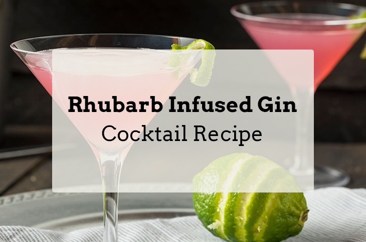 How to Make Rhubarb Infused Gin Cocktail