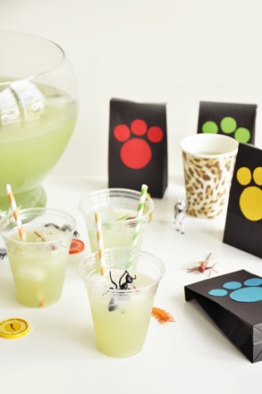 Wild Kratts Party Punch