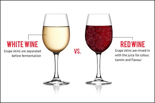 White Wine vs Red Wine