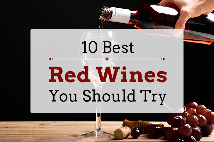 10 Best Red Wines You Should Try in 2021